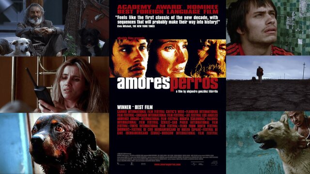 جشن ۲۵سالگی اکران «عشقِ سگی» ایناریتو